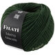 FILATI MERINO MISCELA | 17-donker groen