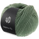 Lana Grossa MERINO PIÙ | 04-oleander groen