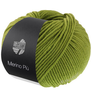 Lana Grossa MERINO PIÙ | 06-meigroen