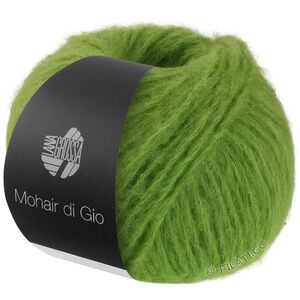 Lana Grossa MOHAIR DI GIO | 12-lente groen