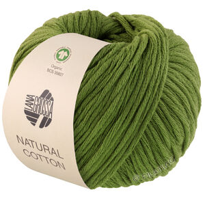 Lana Grossa NATURAL COTTON (GOTS) | 03-groen