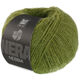 Lana Grossa NEBBIA (Nera) | 10-appel groen