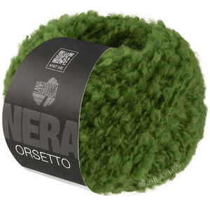 Lana Grossa ORSETTO (Nera) | 23-groen