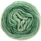 Lana Grossa SLOW WOOL LINO Dégradé | 203-pastelgroen/grijs groen/patinagroen