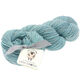 Lana Grossa SLOW WOOL LINO | 11-licht blauw