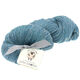 Lana Grossa SLOW WOOL LINO | 21-grijs blauw