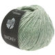 Lana Grossa SMOKEY | 217-pastelgroen/natuur