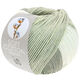 Lana Grossa SOFT COTTON Dégradé | 114-wit/zilvergrijs/licht grijs/grijs
