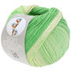 Lana Grossa SOFT COTTON Dégradé | 118-ecru/zachtgroen/jade
