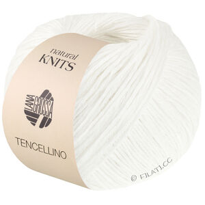 Lana Grossa TENCELLINO | 01-wit