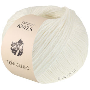 Lana Grossa TENCELLINO | 02-ruwe witte