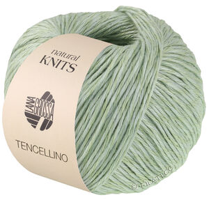 Lana Grossa TENCELLINO | 04-witgroen