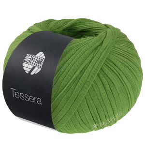 Lana Grossa TESSERA | 03-groen