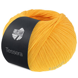 Lana Grossa TESSERA | 05-oranje