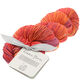 Lana Grossa UNICO (Linea Pura) | 10-bordeaux/koperrood/donker oranje
