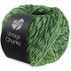 Lana Grossa Vintage Chunky | 19-licht groen/donker groen