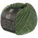 Lana Grossa WINTER SOFTNESS (Nera) | 04-bos groen