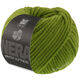 Lana Grossa WINTER SOFTNESS (Nera) | 27-groen