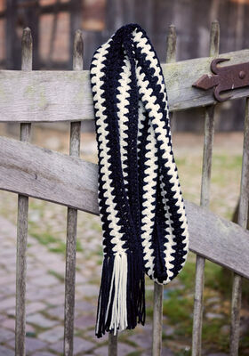 SJAAL Alta Moda Cashmere 16 & Brillino van Lana Grossa