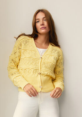 VEST Elastico van Lana Grossa