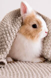 Lana Grossa Dekentje Cool Wool Baby