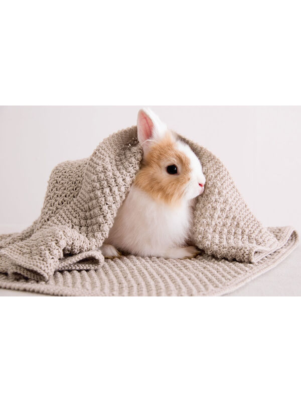 Lana Grossa Dekentje Cool Wool Baby