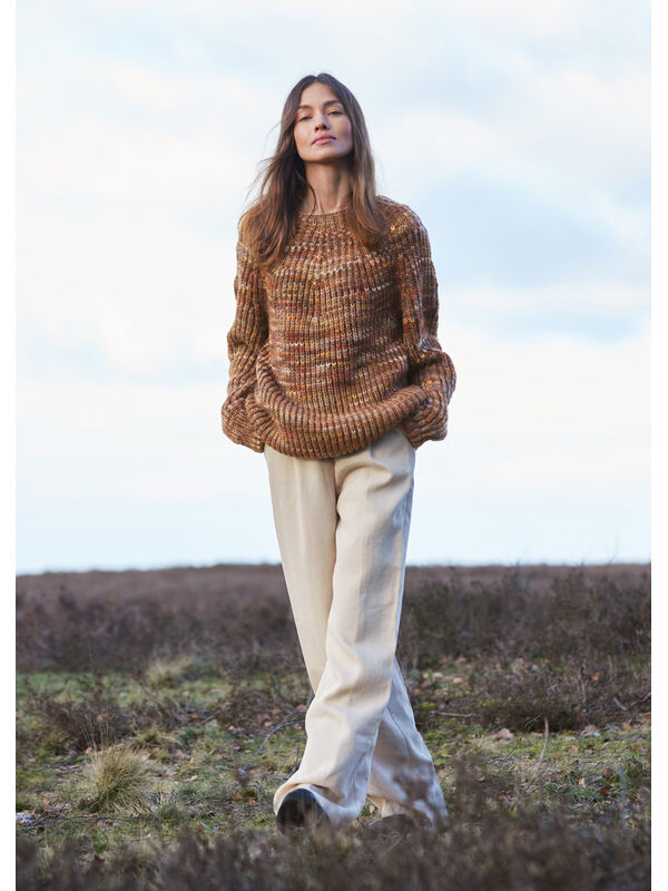Lana Grossa TRUI MET RONDE PAS Cool Merino Big Color
