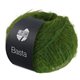 Lana Grossa BASTA | 30-groen