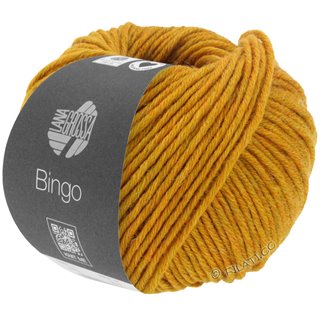 Lana Grossa BINGO Mélange (We Care)
