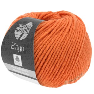 Lana Grossa BINGO  Uni/Melange | 183-oranje