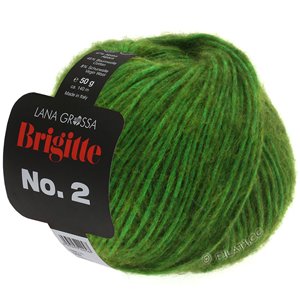 Lana Grossa BRIGITTE NO. 2 | 01-groen