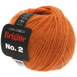 Lana Grossa BRIGITTE NO. 2 | 32-kaneel oranje