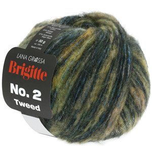 Lana Grossa BRIGITTE NO. 2 Tweed | 113-beige/licht grijs/turkoois/loden