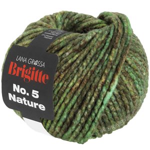 Lana Grossa BRIGITTE NO. 5 Nature | 103-groen/bruin mêleerd