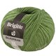 Lana Grossa BRIGITTE Silkdream | 19-groen