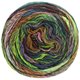 Lana Grossa COLORISSIMO | 14-licht groen/donker groen/rose/donker bruin/beige/aubergine/paars