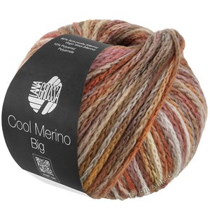 Lana Grossa COOL MERINO Big Color | 406-noga/beige/taupe/cognac/rozenhout/zilvergrijs/grijs bruin/oudroze