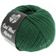Lana Grossa COOL WOOL Alpaca | 16-flessegroen