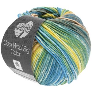 Lana Grossa COOL WOOL Big Color | 4020-grijs groen/kameel/geel/ecru/resedagroen/petrol