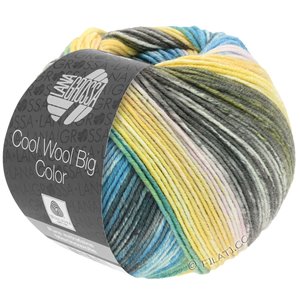 Lana Grossa COOL WOOL Big Color | 4024-petrol groen/grijs groen/ecru/geel/turkoois/rose