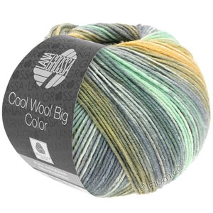 Lana Grossa COOL WOOL Big Color | 4025-munt/maïsgeel/ecru/grijs/olijf/kaki