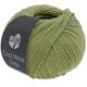 Lana Grossa COOL WOOL Seta | 22-Esdoorn groen