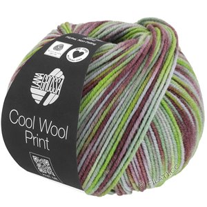 Lana Grossa COOL WOOL  Print | 828-licht groen/resedagroen/antieke violet/licht grijs