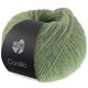 Lana Grossa CORALLO 50g | 109-salie groen