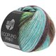 Lana Grossa ECOPUNO Print | 205-turkoois/munt/donker bruin/geelgroen/taupe