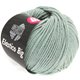 Lana Grossa ELASTICO Big | 45-grijs groen