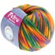 Lana Grossa FELTRO Multicolor | 401-smaragd/paars/geel/koraal/olijf