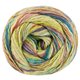 Lana Grossa GOMITOLO CALIFORNIA | 3043-vanille/foksia/pistache/blauw violet/petrol blauw/oudroze
