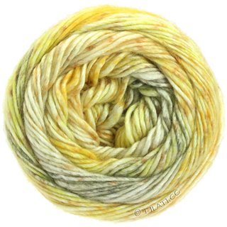 Lana Grossa GOMITOLO DUO 250