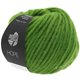 Lana Grossa HOPE 25g | 22-groen